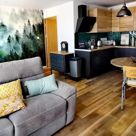 Appartement Proche Nancy centre, à quelques pas des Thermes et du campus ARTEM, appartement calme avec parking gratuit