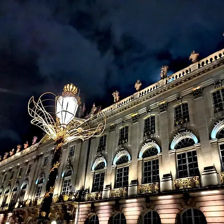 Proche Nancy centre, à quelques pas des Thermes et du campus ARTEM, appartement calme avec parking gratuit Appartement